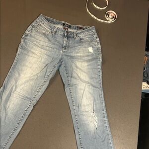 Earl Jeans Light Blue Skinny Distressed Women's Jeans